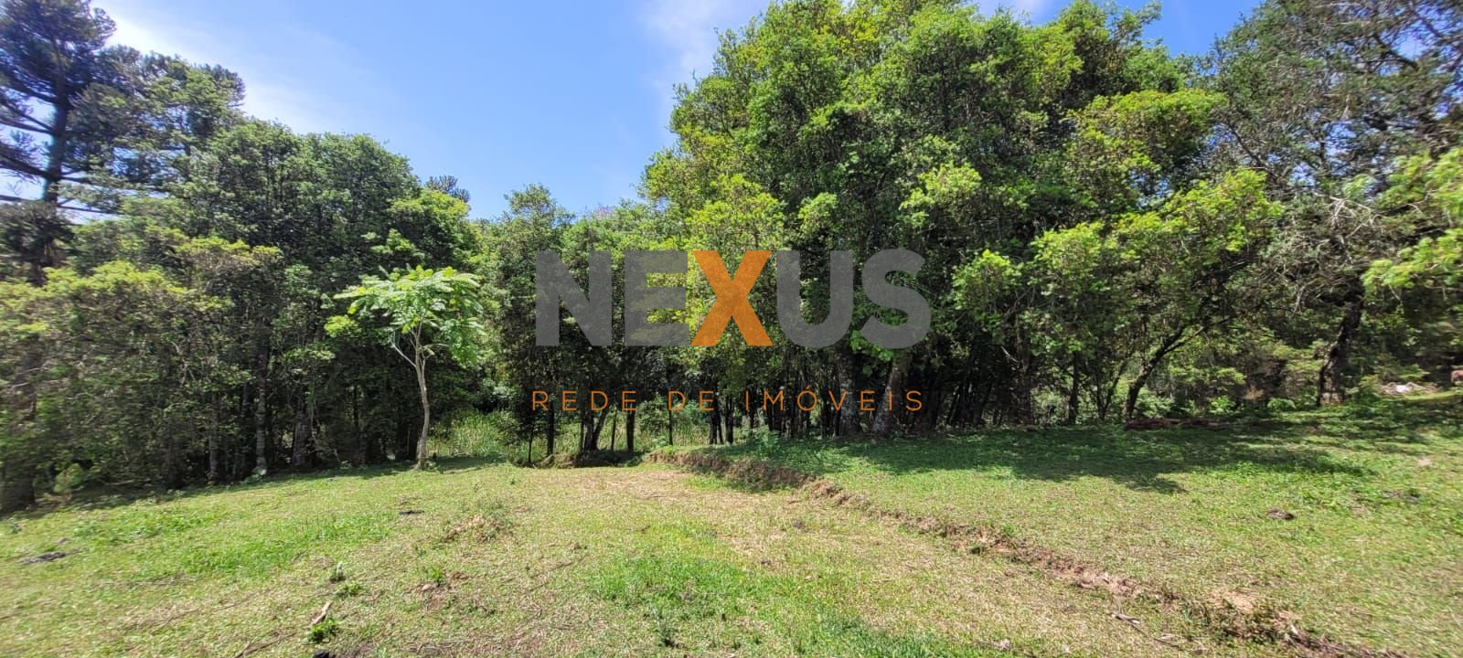 Chácara à venda, 29.519 m2 por R  399.000,00 - Tabatinga - Tij...
