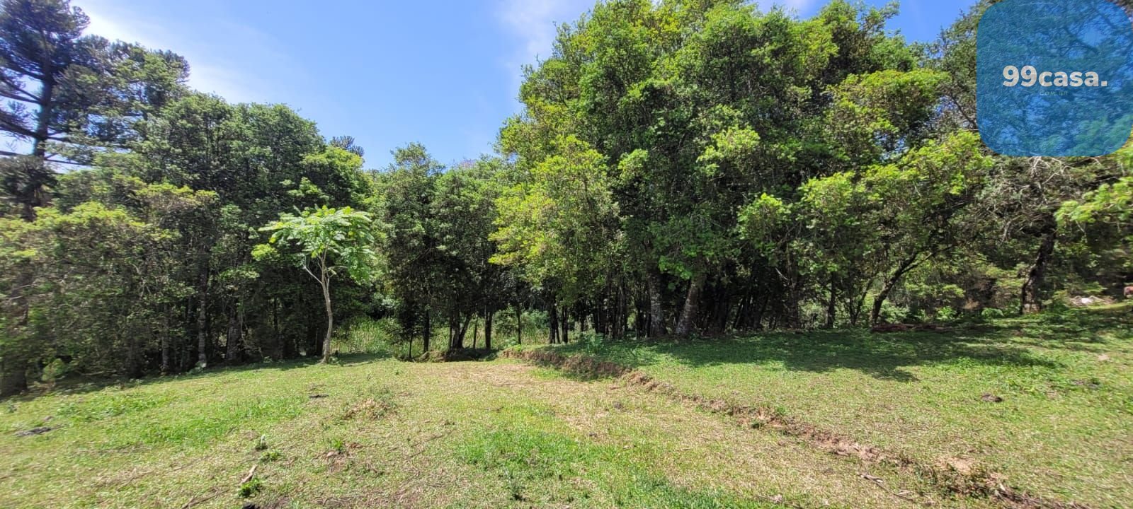 Chácara à venda, 29.519 m2 por R  399.000,00 - Tabatinga - Tij...