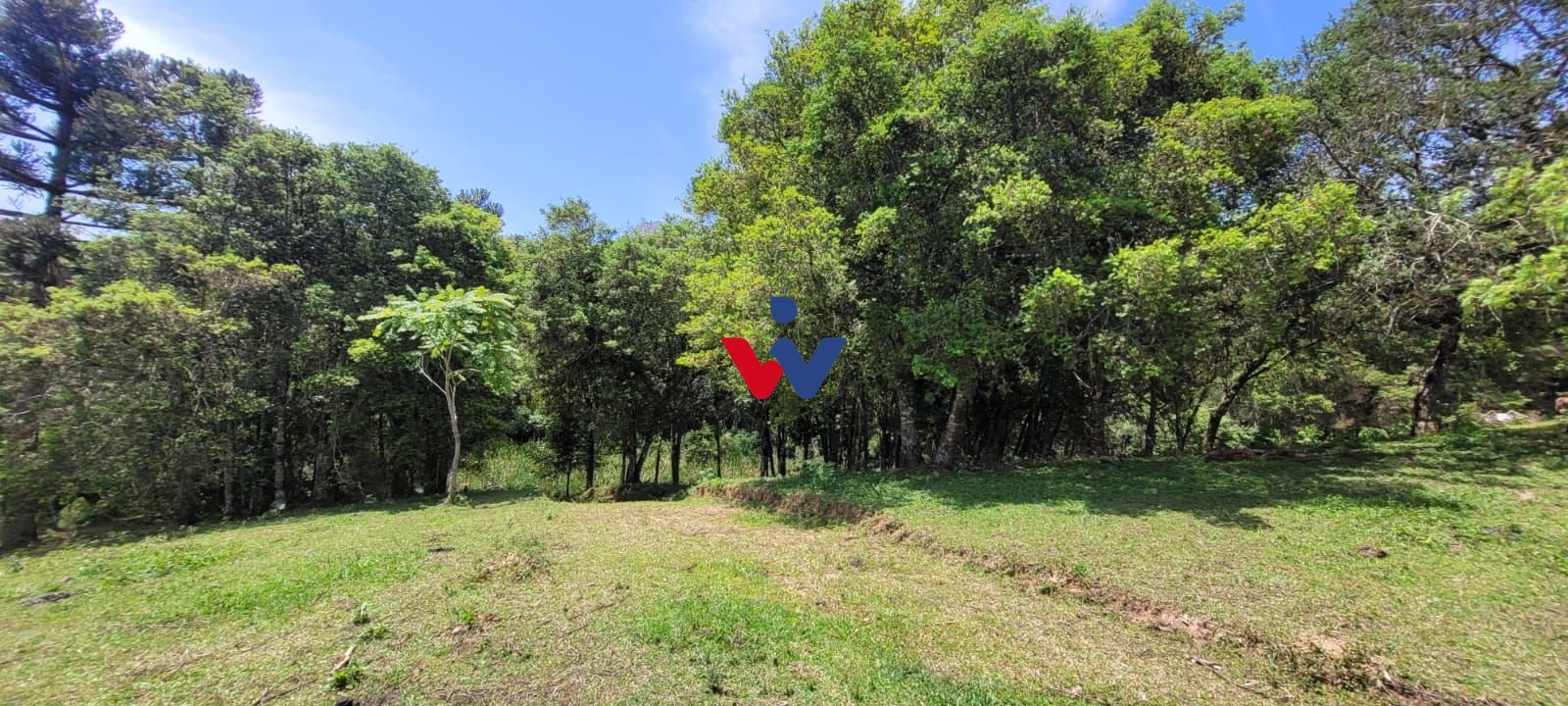 Chácara à venda, 29.519 m2 por R  399.000,00 - Tabatinga - Tij...
