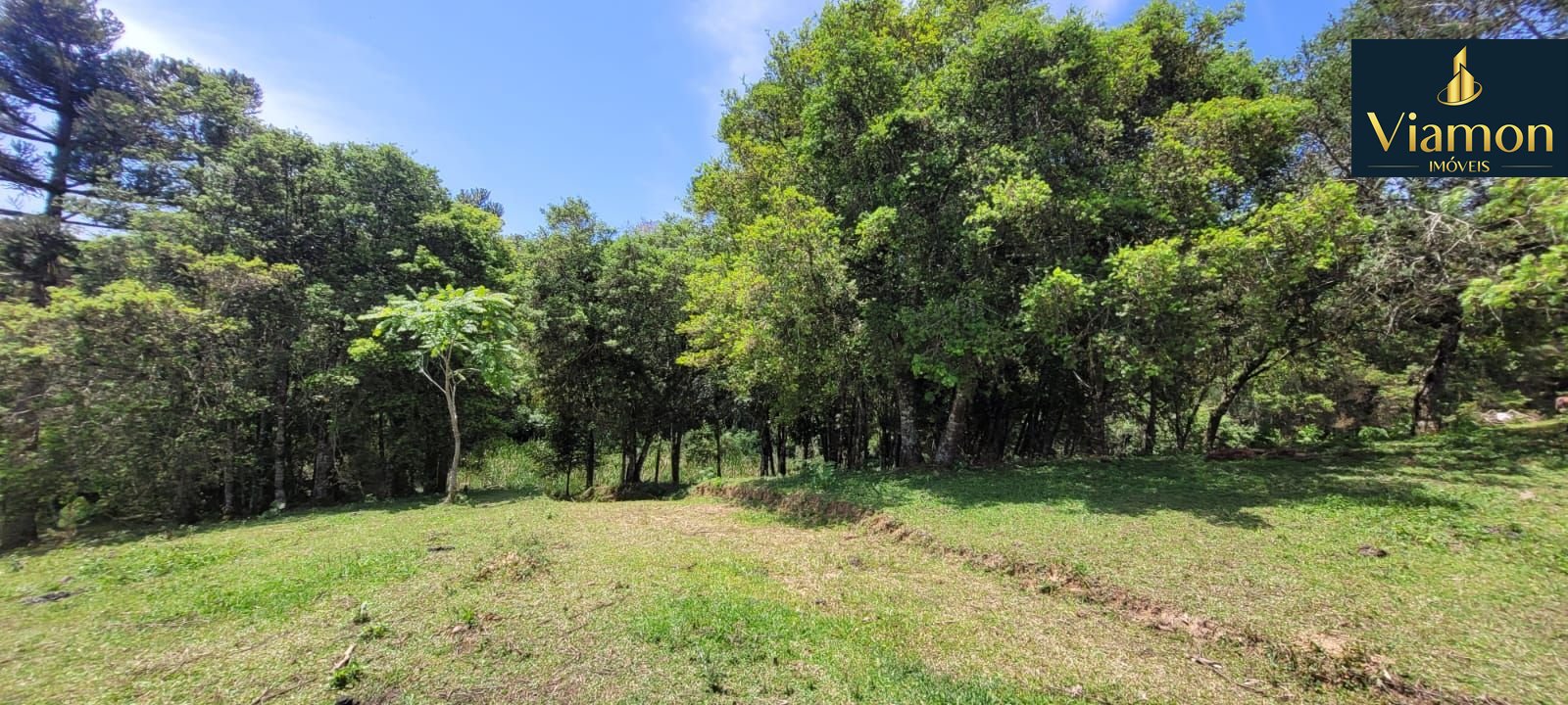 Chácara à venda, 29.519 m2 por R  399.000,00 - Tabatinga - Tij...