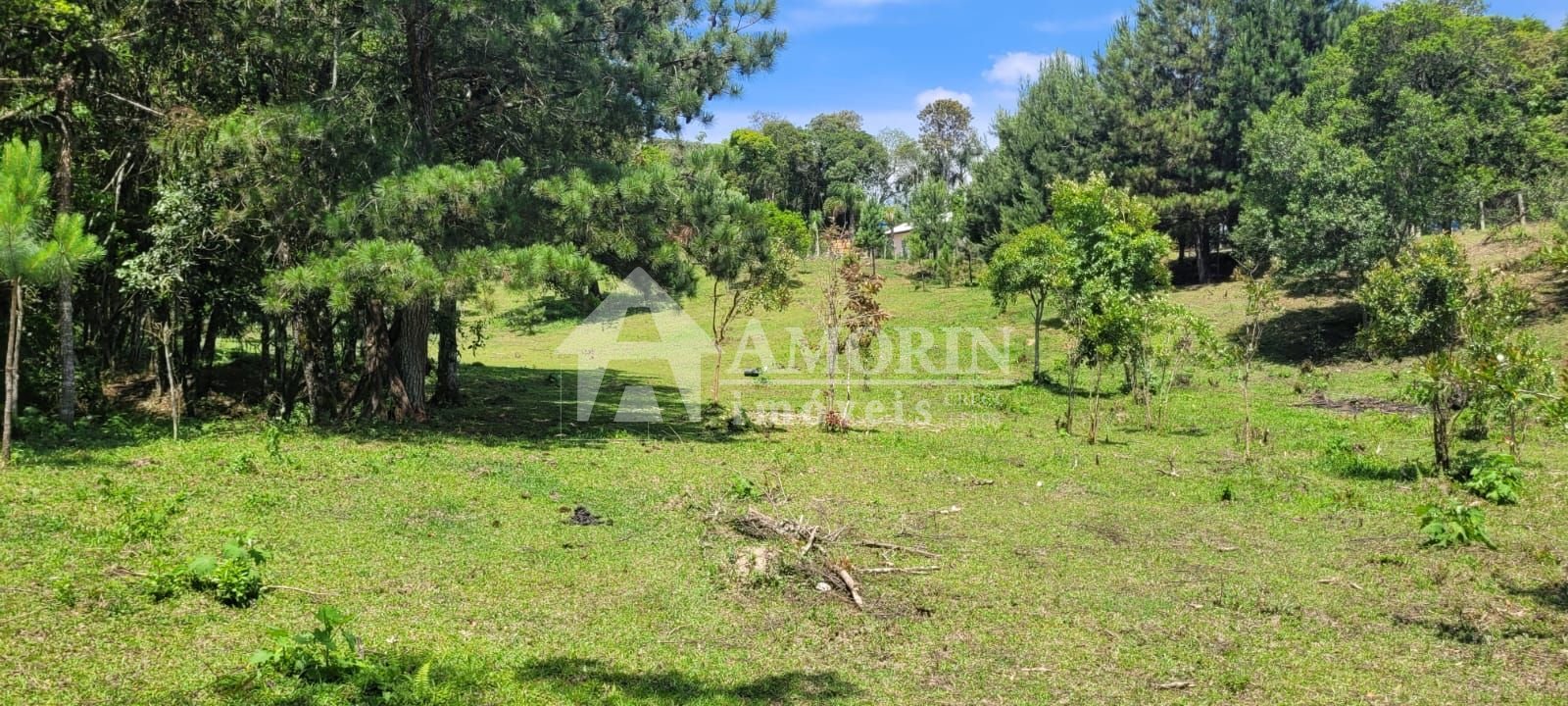 Chácara à venda, 29.519 m2 por R  399.000,00 - Tabatinga - Tij...
