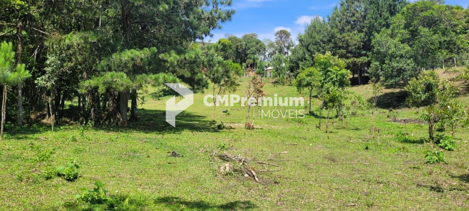 Chácara à venda, 29.519 m2 por R  399.000,00 - Tabatinga - Tij...