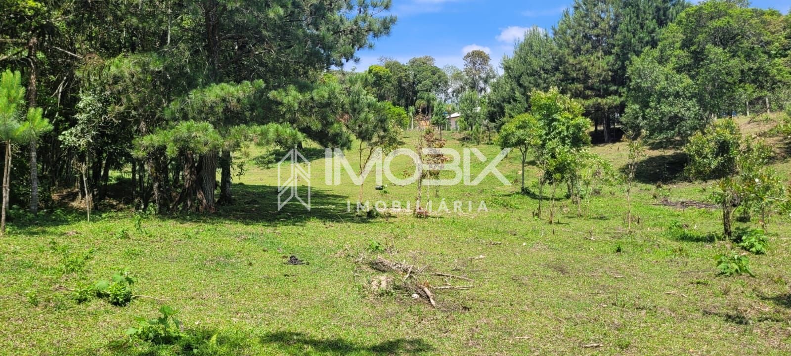 Chácara à venda, 29.519 m2 por R  399.000,00 - Tabatinga - Tij...