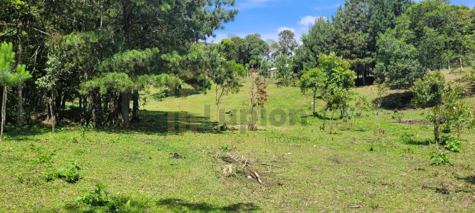 Chácara à venda, 29.519 m2 por R  399.000,00 - Tabatinga - Tij...