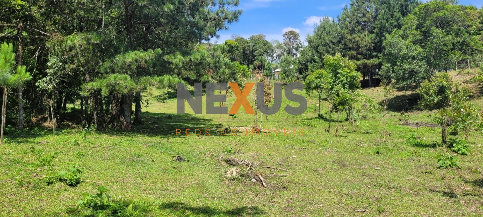 Chácara à venda, 29.519 m2 por R  399.000,00 - Tabatinga - Tij...