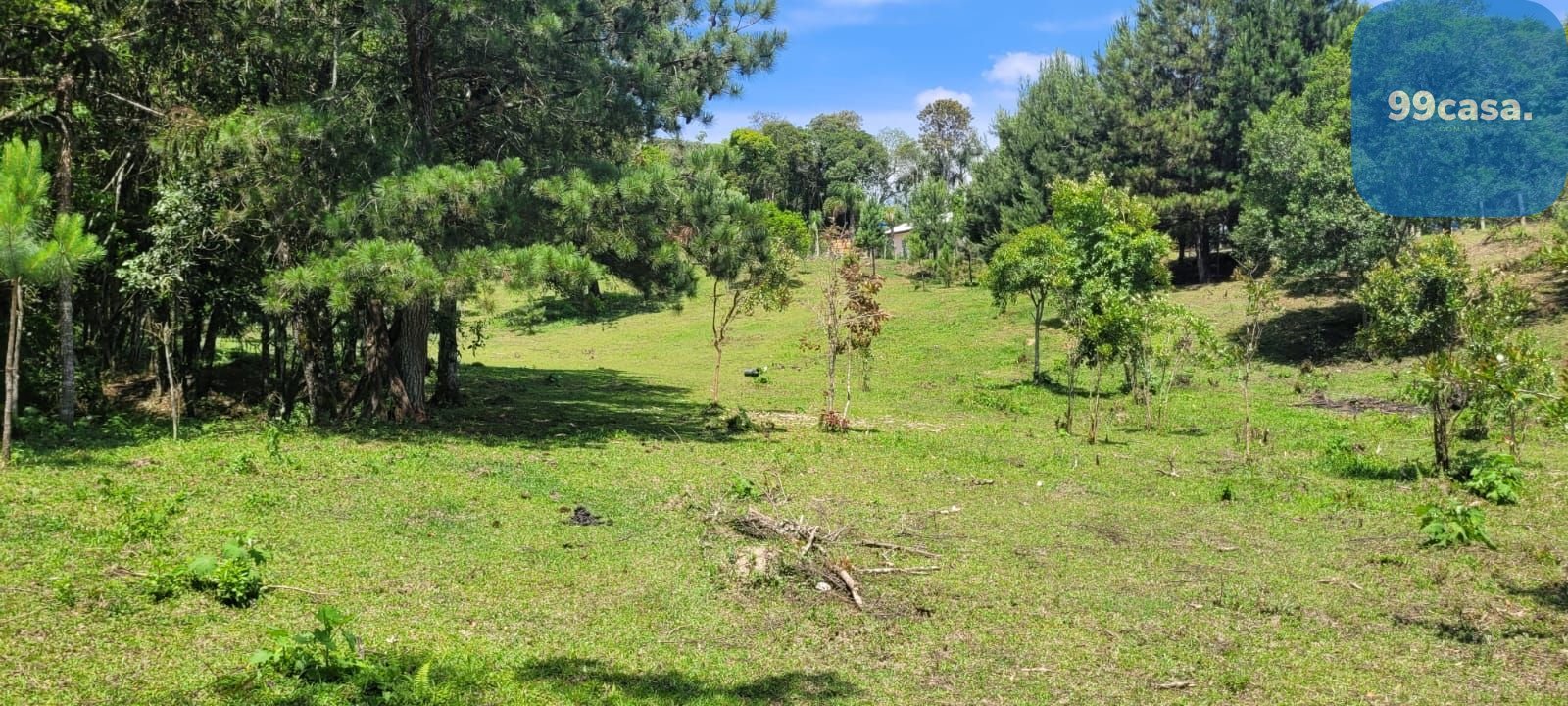 Chácara à venda, 29.519 m2 por R  399.000,00 - Tabatinga - Tij...