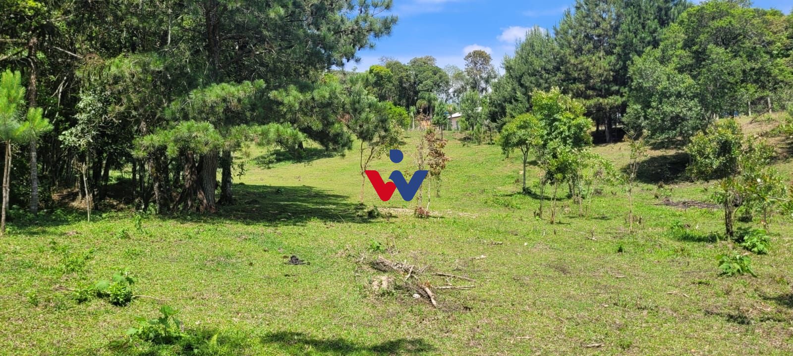 Chácara à venda, 29.519 m2 por R  399.000,00 - Tabatinga - Tij...