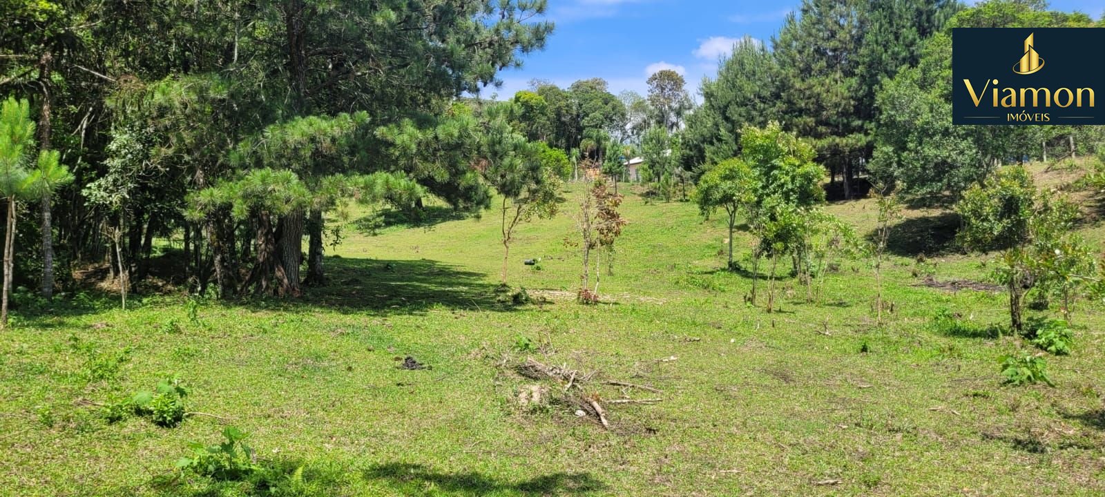 Chácara à venda, 29.519 m2 por R  399.000,00 - Tabatinga - Tij...