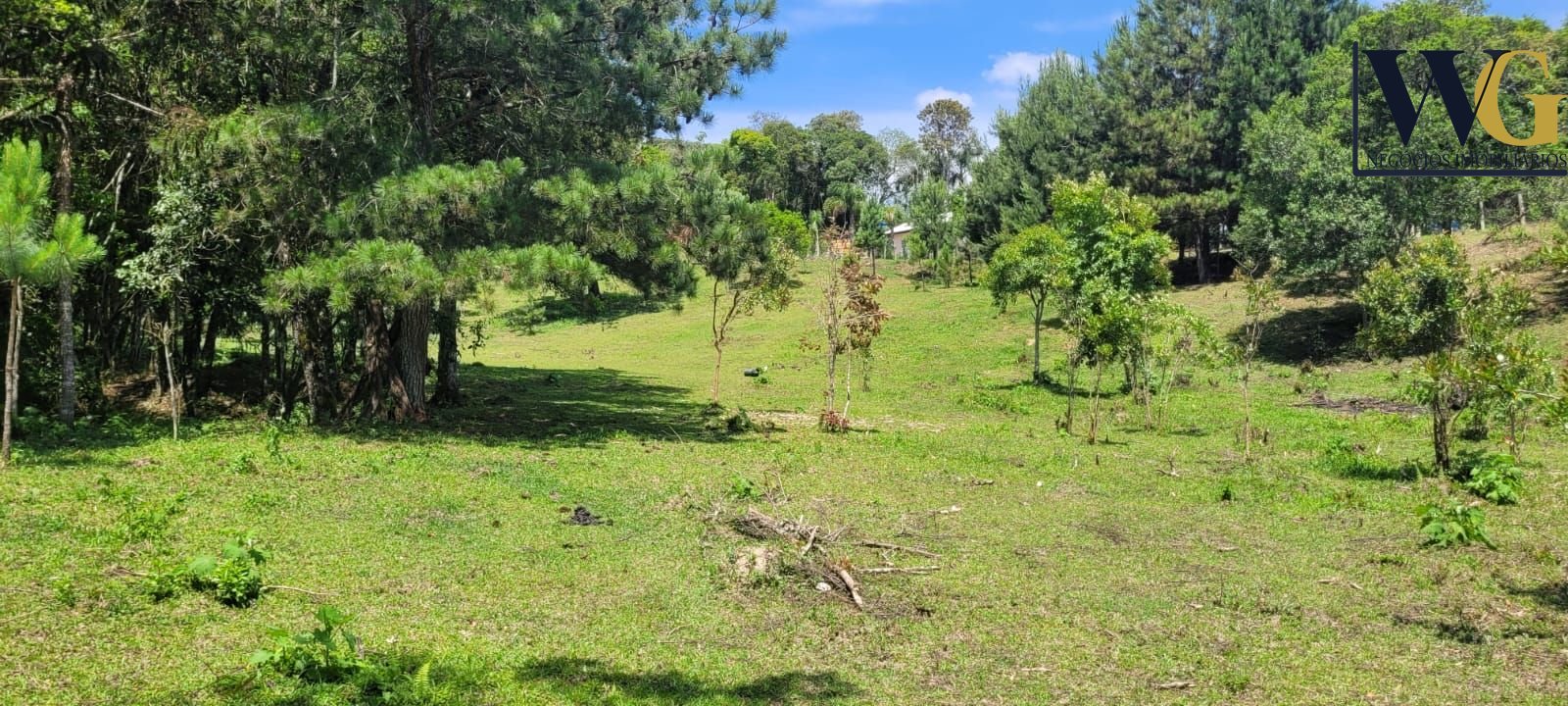 Chácara à venda, 29.519 m2 por R  399.000,00 - Tabatinga - Tij...