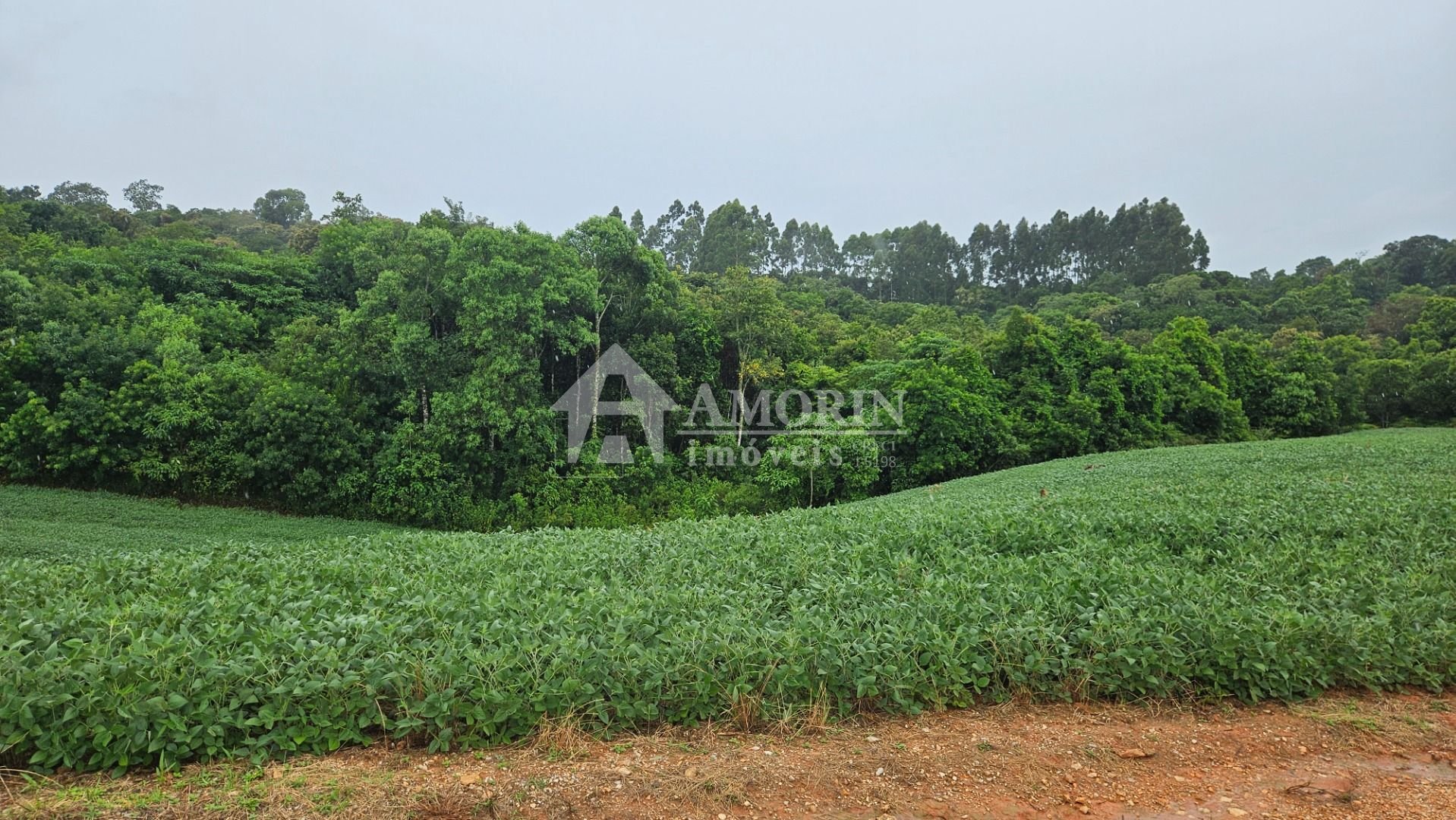 Chácara à venda, 79000 m  por R  1.230.000  - Preço abaixo do ...