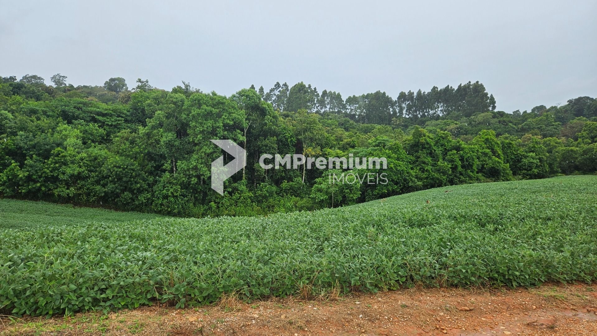 Chácara à venda, 79000 m  por R  1.230.000  - Preço abaixo do ...