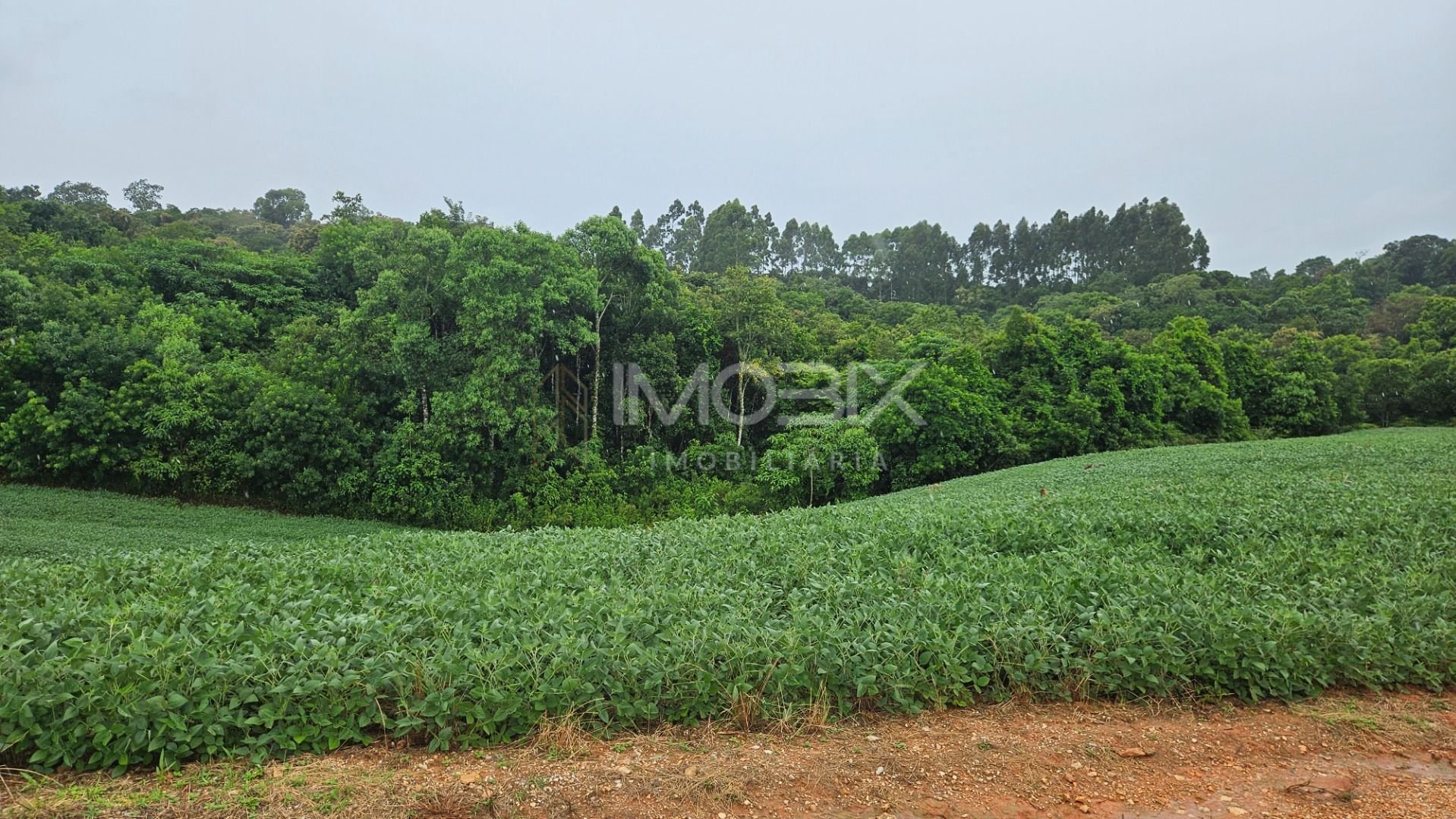Chácara à venda, 79000 m  por R  1.230.000  - Preço abaixo do ...