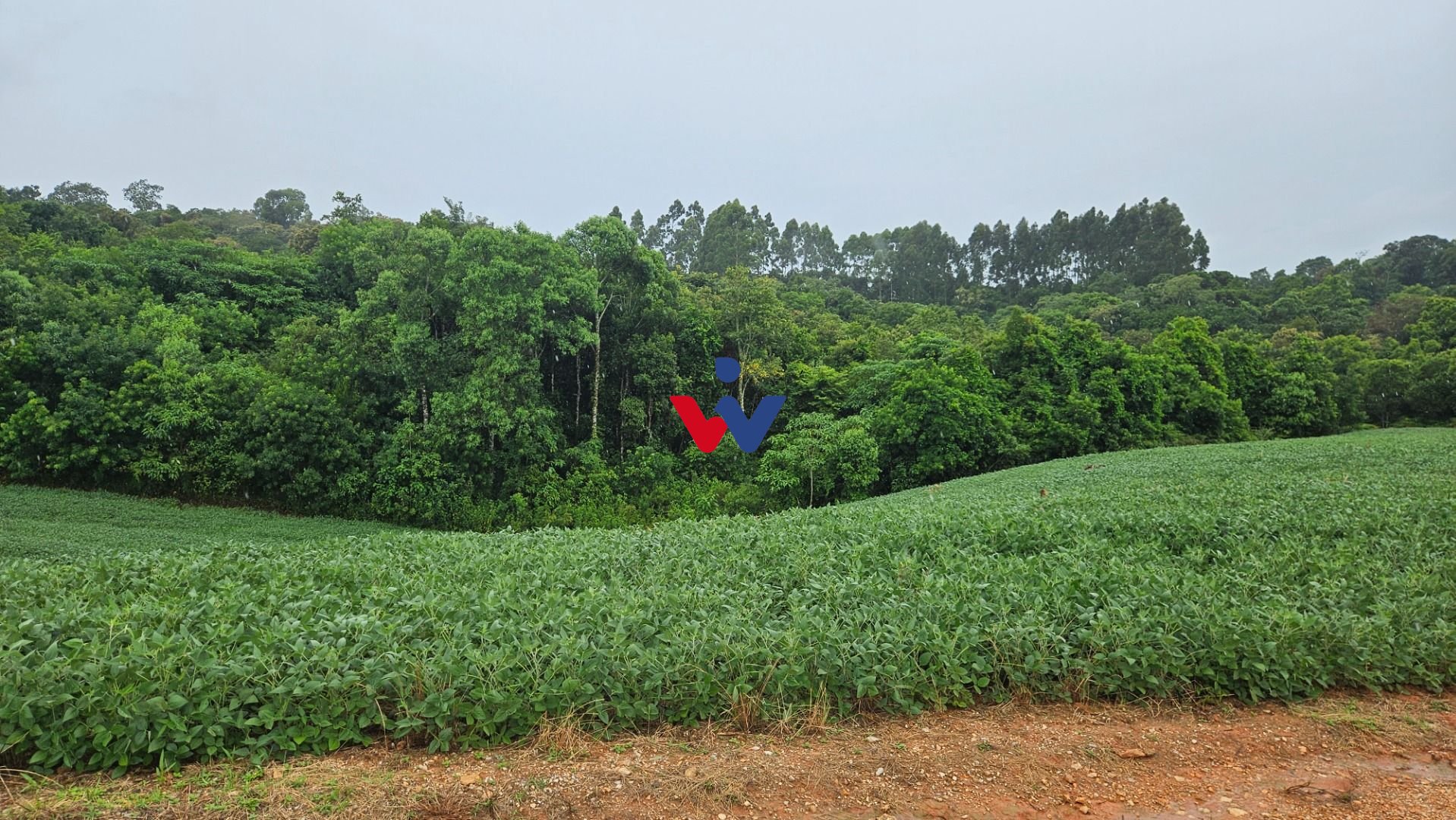 Chácara à venda, 79000 m  por R  1.230.000  - Preço abaixo do ...