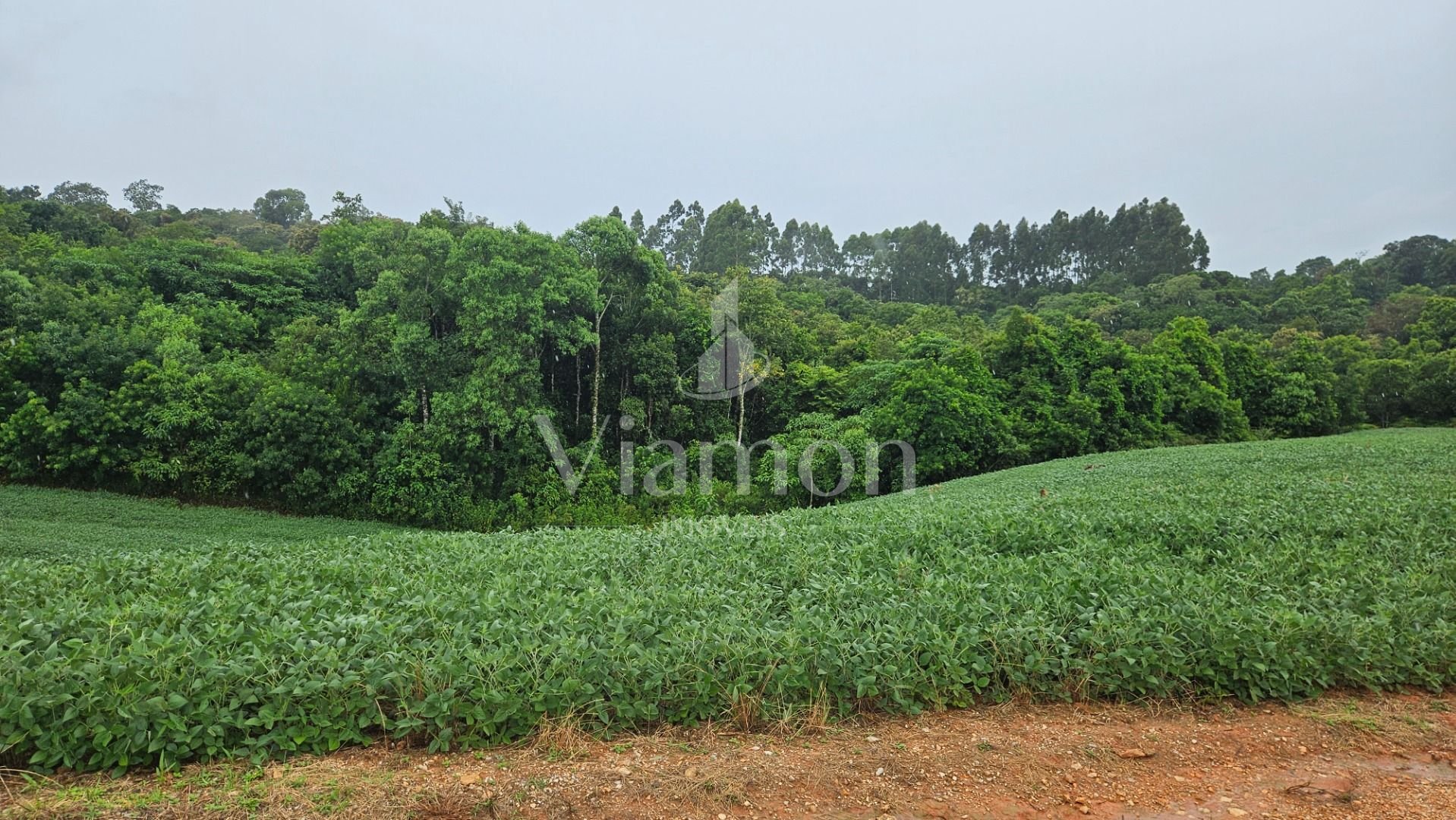 Chácara à venda, 79000 m  por R  1.230.000  - Preço abaixo do ...