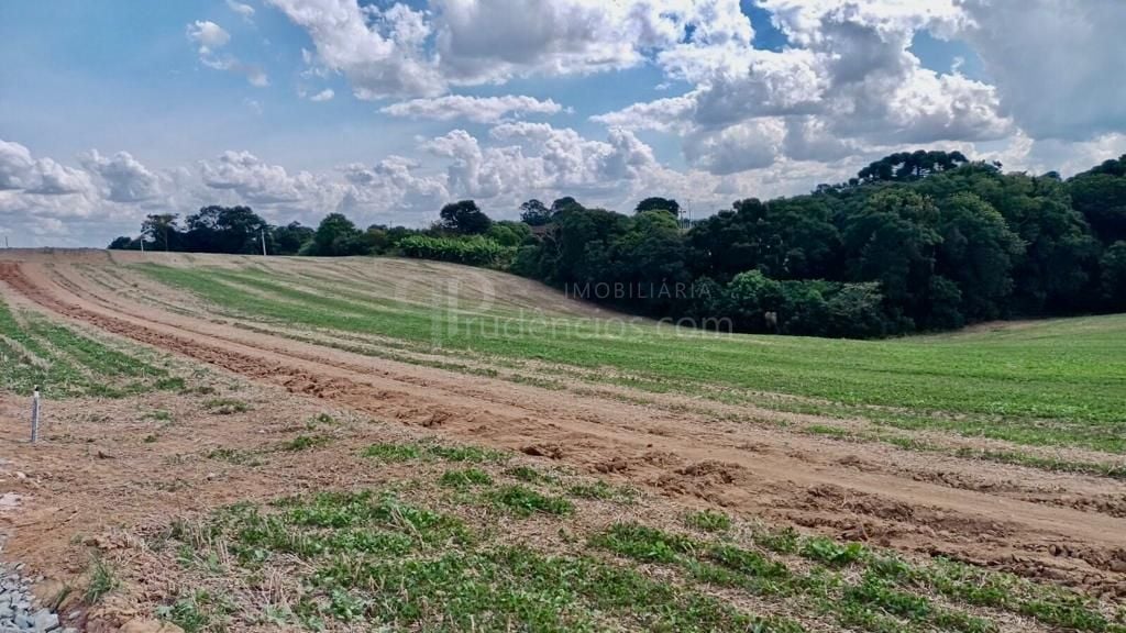 Chácara Lagoa Suja Araucária  Natureza, Tranquilidade e Acesso...