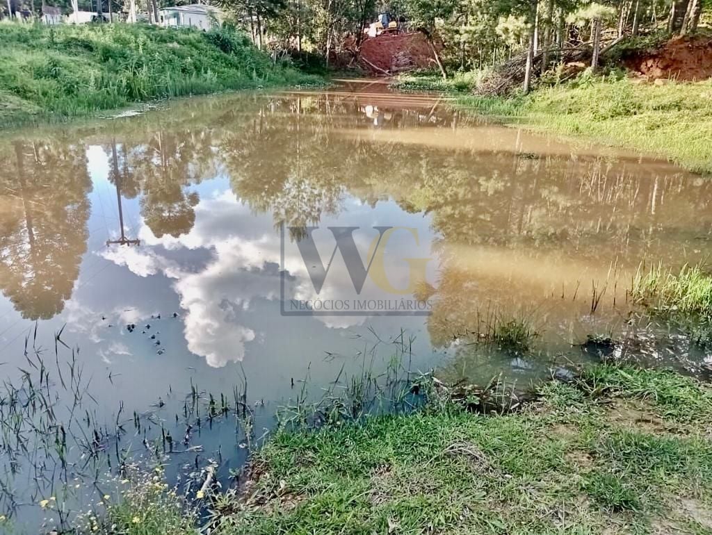 Chácara de 22.290m  em Campo Largo  Refúgio no Campo com Fácil...