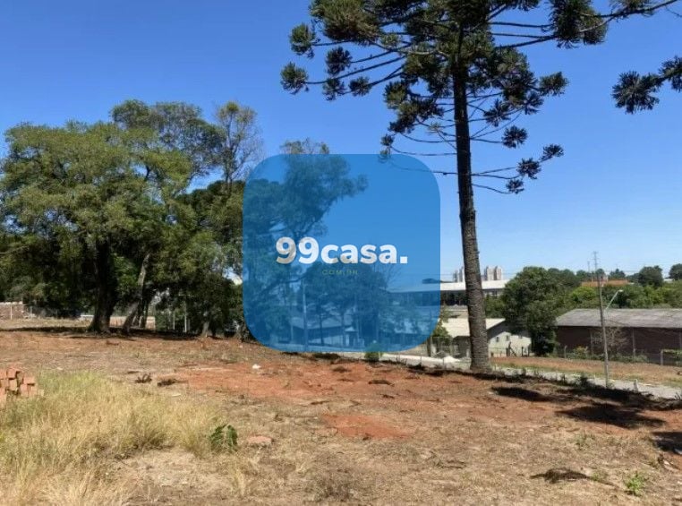 Casa com 5 dormit?rios ? venda,910.00 m , bairro alto, CURITIB...