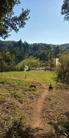 chácara à venda, 23700 m  por R  350.000,00 - Ferrari - Campo ...