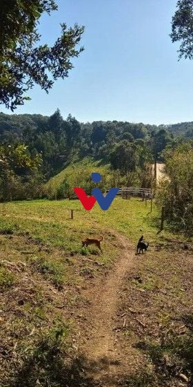 Terreno à venda, 23700 m  por R  371.000,00 - Ferrari - Campo ...