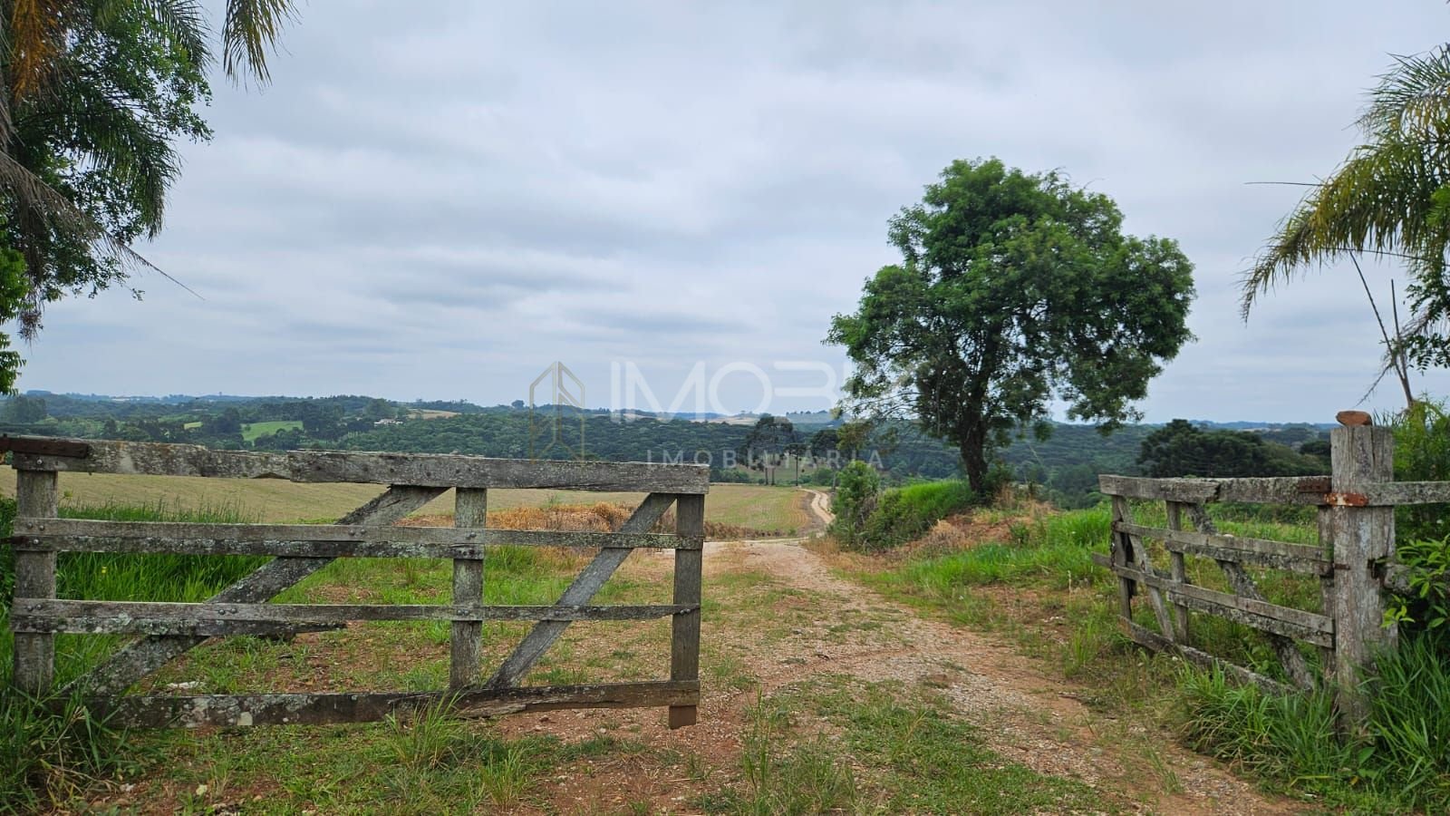 Fazenda com 3 dormitórios à venda, 1694000 m  por R  24.500.00...