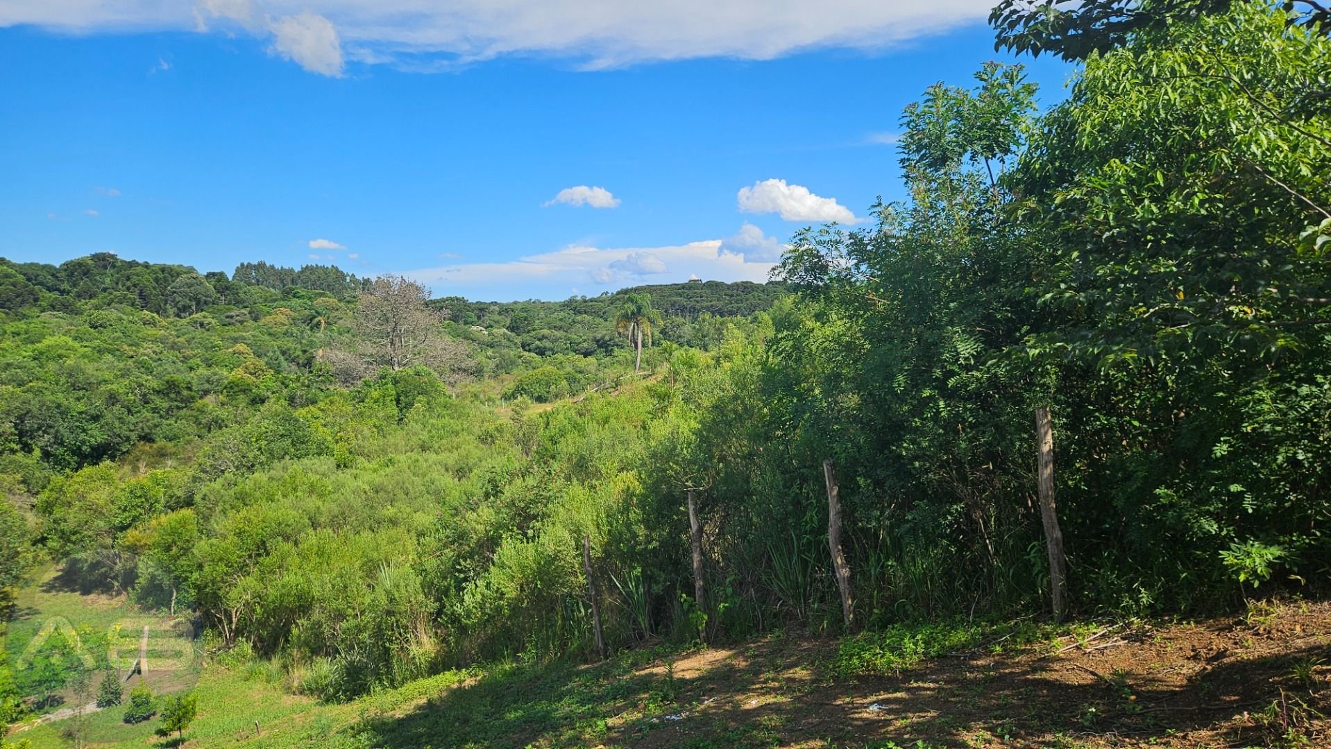 ?rea de 7.000m  em Contenda  Ref?gio com Bosque, C?rrego e Nat...