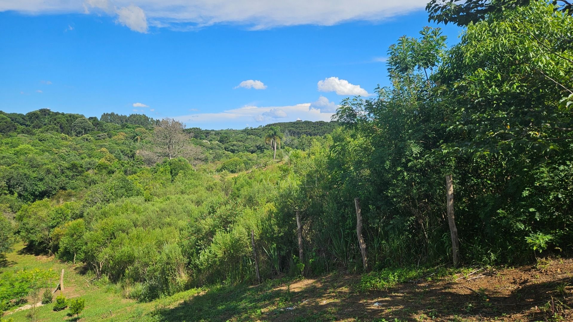 Chácara à venda, 7000 m  por R  255.000,00 - Zona Rural - Cont...