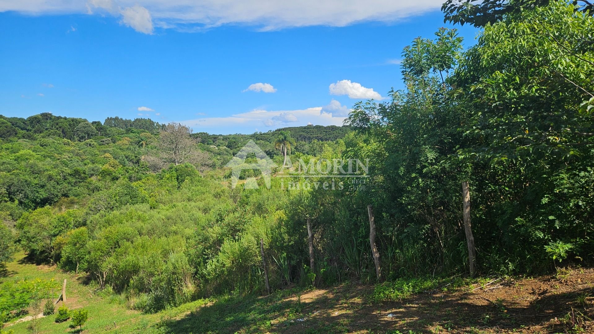 Chácara à venda, 7000 m  por R  255.000,00 - Zona Rural - Cont...