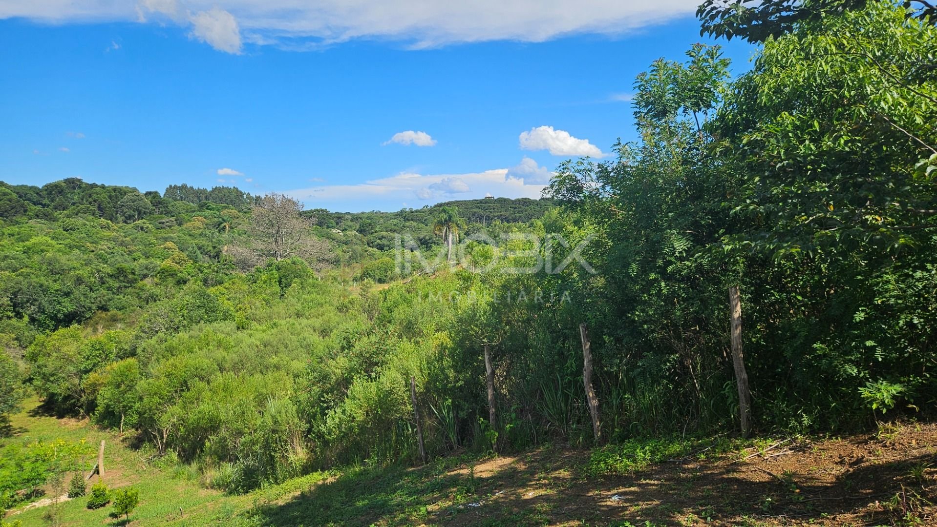 Chácara à venda, 7000 m  por R  255.000,00 - Zona Rural - Cont...