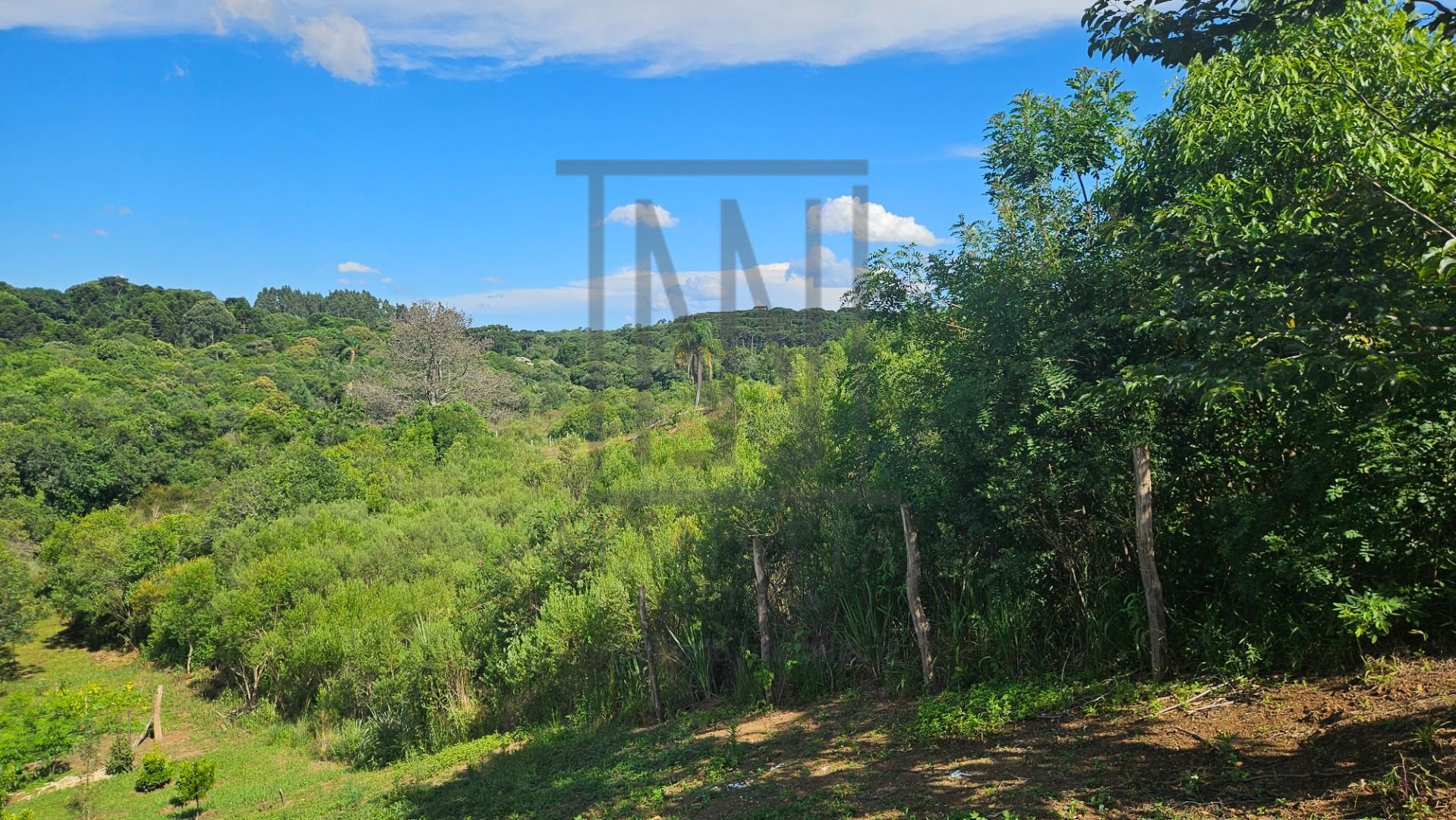 Chácara à venda, 7000 m  por R  255.000,00 - Zona Rural - Cont...