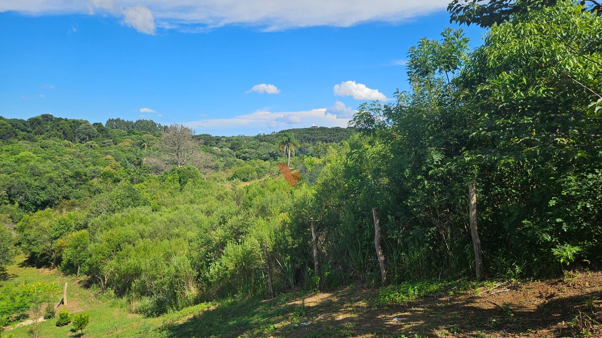 Chácara à venda, 7000 m  por R  255.000,00 - Zona Rural - Cont...