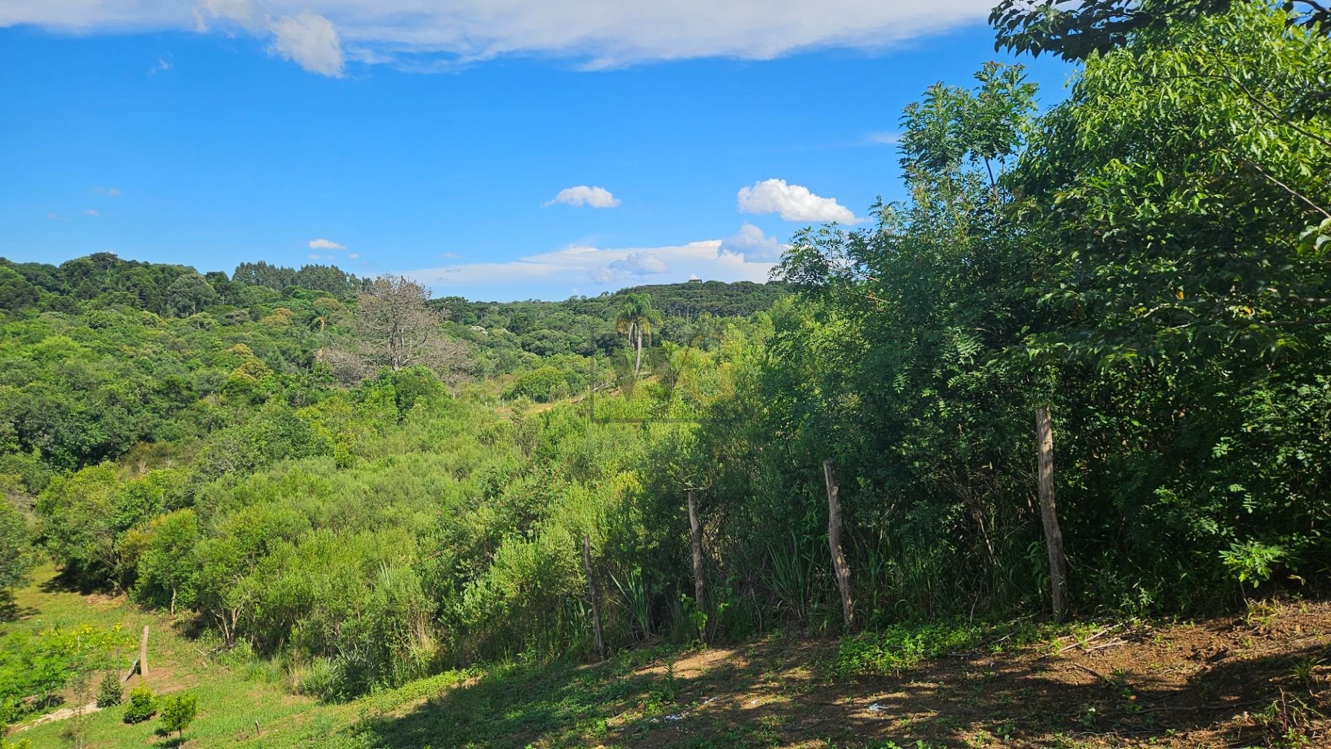 Chácara à venda, 7000 m  por R  255.000,00 - Zona Rural - Cont...