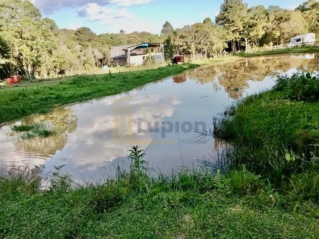 Chácara de 22.290m  em Campo Largo  Refúgio no Campo com Fácil...