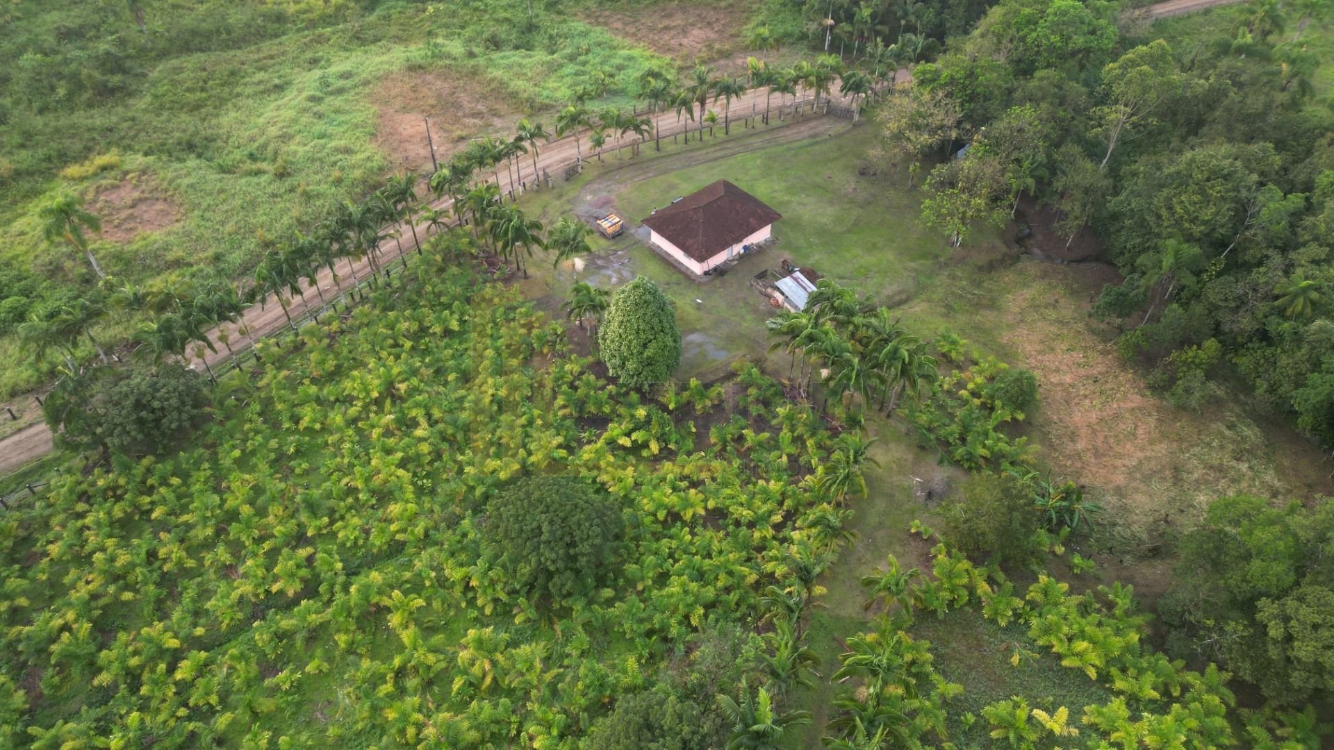 Área Rural à Venda em Guaraqueçaba  33.200 ha de Natureza e Re...