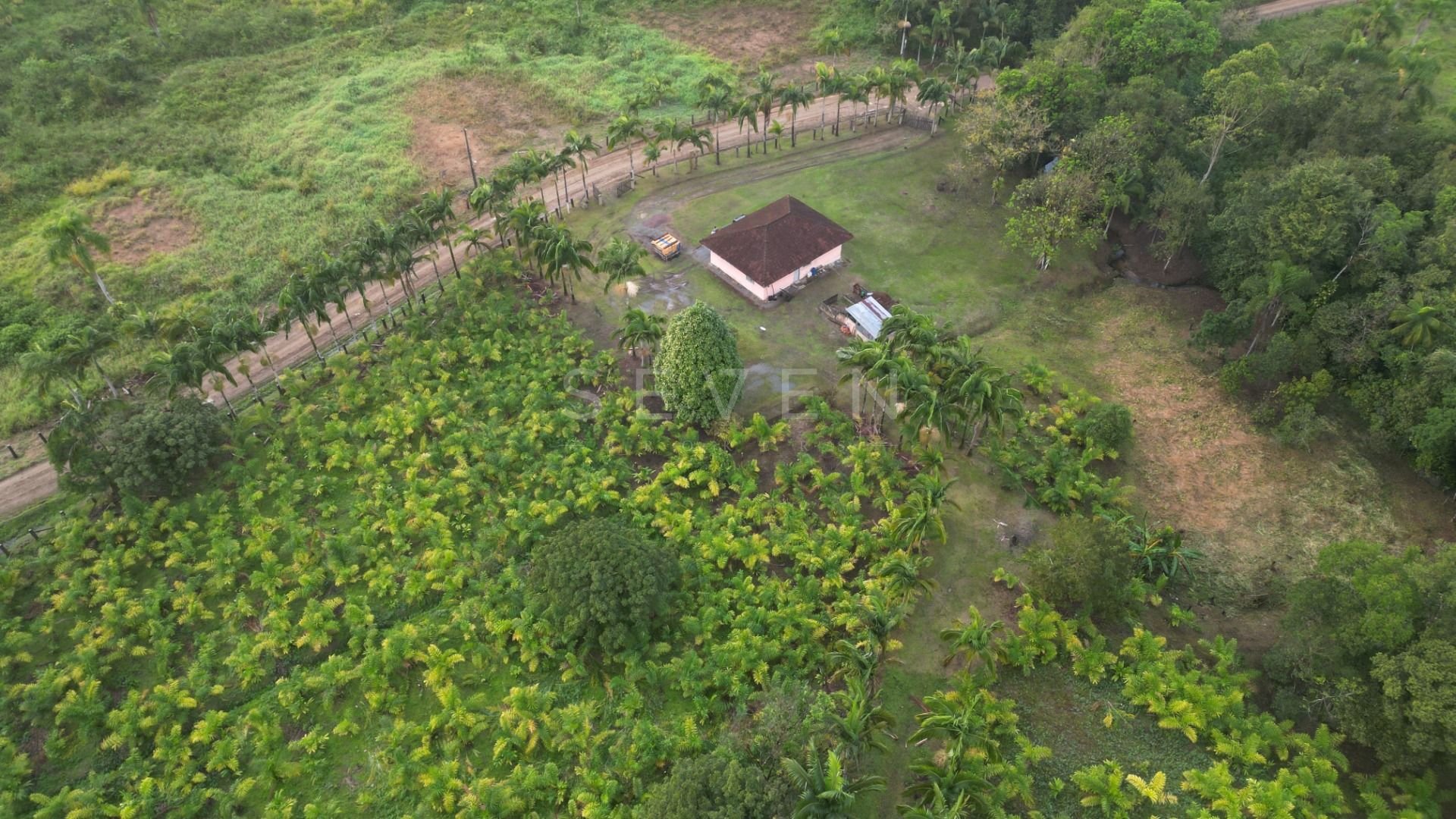 Área Rural à Venda em Guaraqueçaba  38,80 ha, 14 alqueires de ...