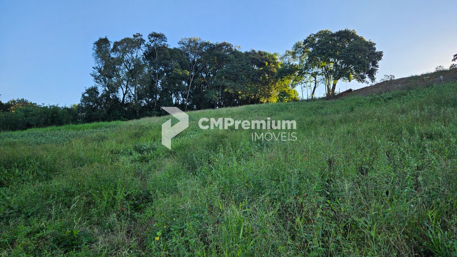 Chácara à venda, 10975 m  frente para o asfalto por R  450.000...