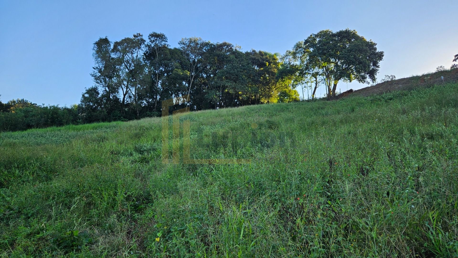 Chácara 10.500m  em Araucária com bosque, área de plantio e vi...