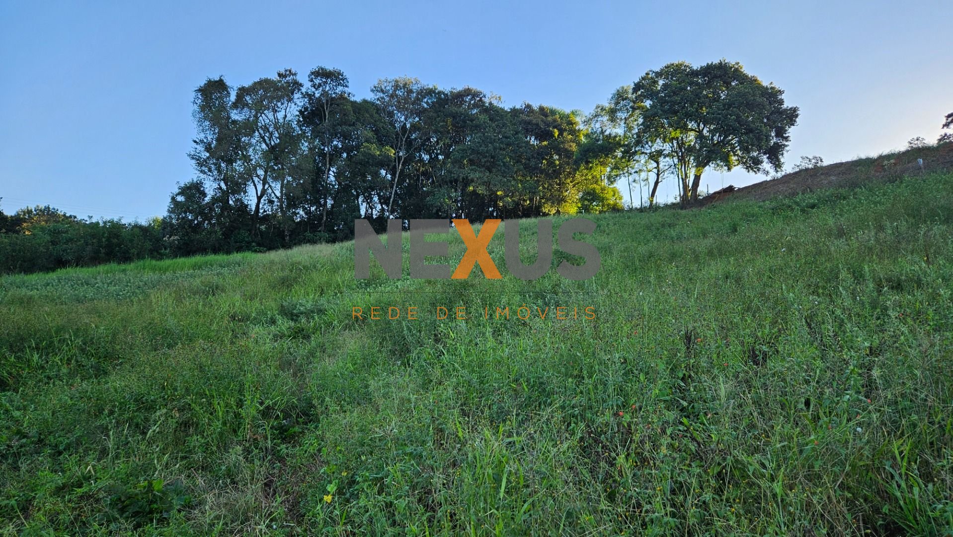 Chácara à venda, 10975 m  frente para o asfalto por R  450.000...