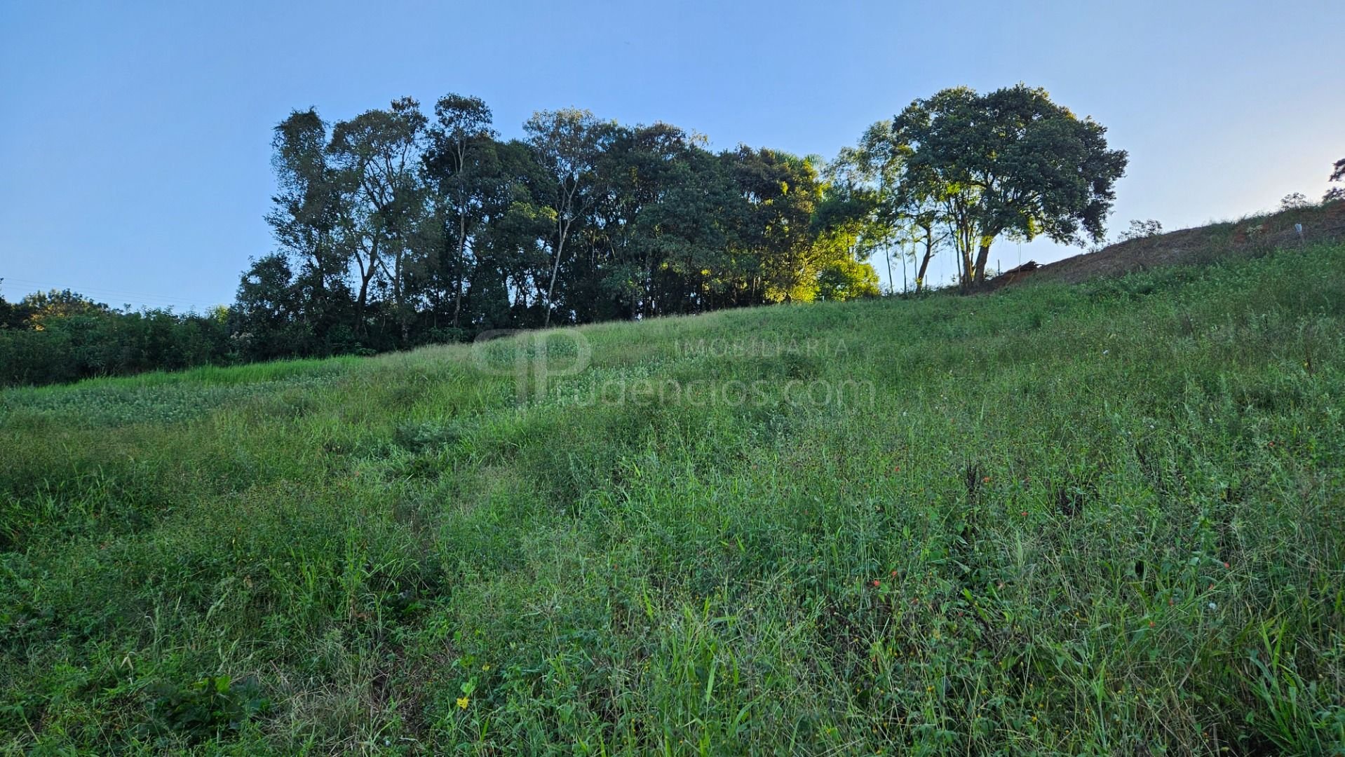 Chácara 10.500m  em Araucária com bosque, área de plantio e vi...