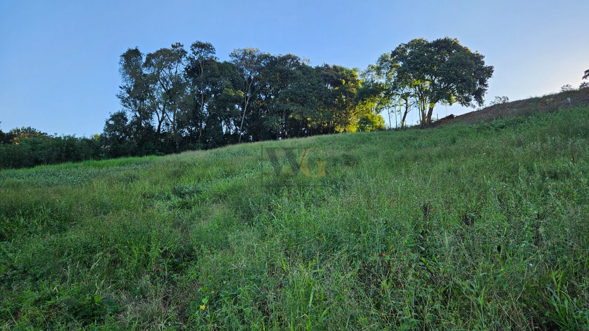 Chácara 10.500m  em Araucária com bosque, área de plantio e vi...