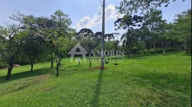 Sítio com 6 dormitórios à venda,144.000,00 m2, palmitalzinho, ...