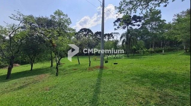Sítio com 6 dormitórios à venda,144.000,00 m2, palmitalzinho, ...