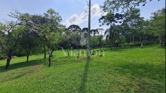 Sítio com 6 dormitórios à venda,144.000,00 m2, palmitalzinho, ...