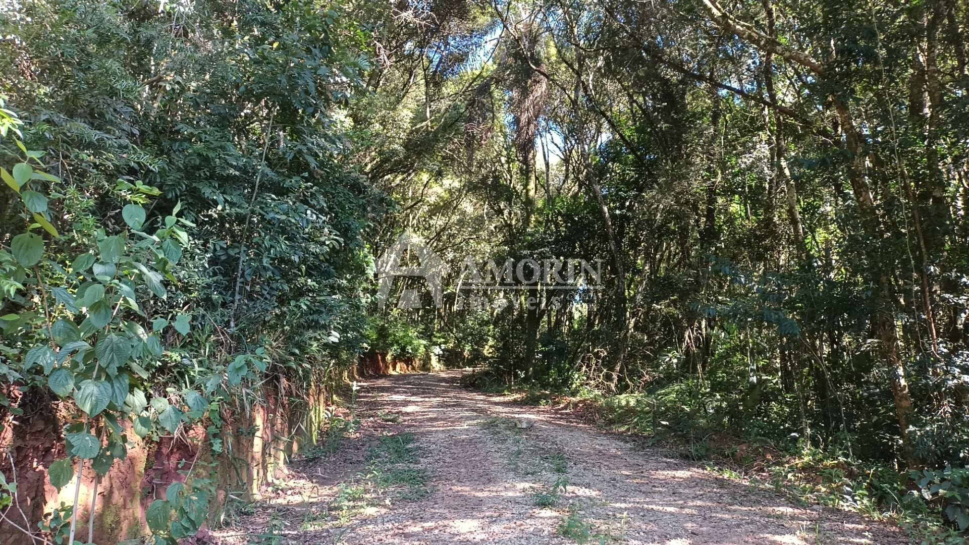 Chácara à venda, 23482 m  por R  500.000,00 - Zona Rural - Ara...