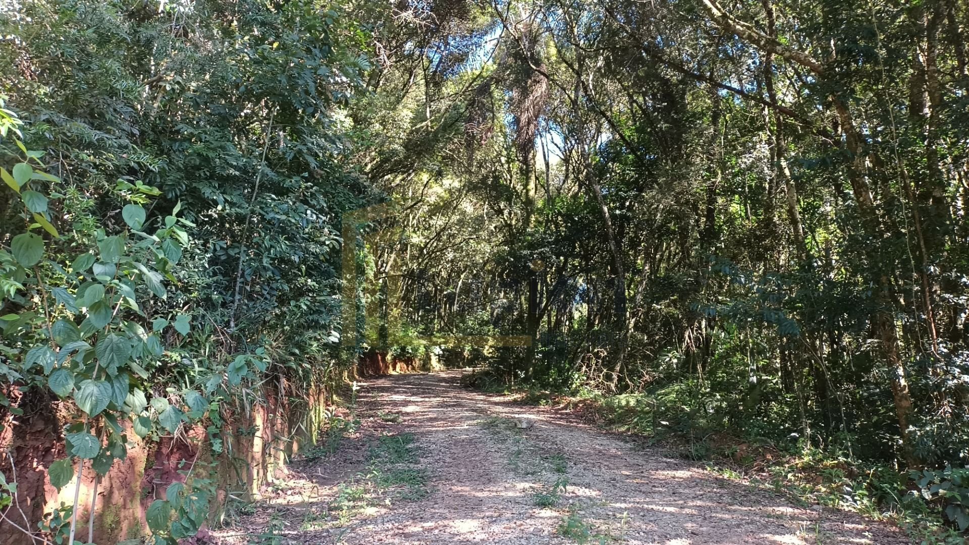 Chácara à Venda em Araucária  Terreno de 23.480 m  com Naturez...