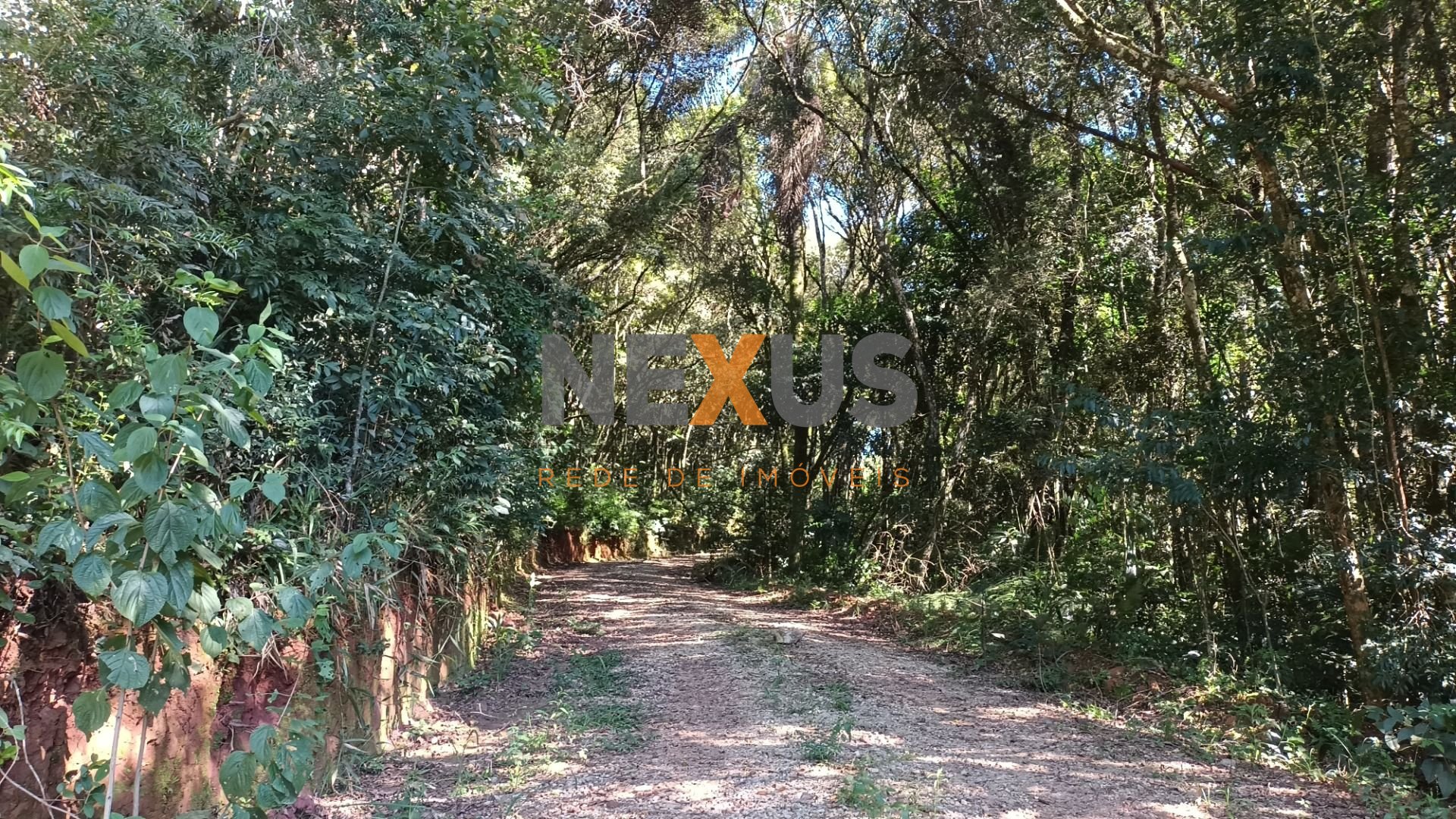 Chácara à venda, 23482 m  por R  500.000,00 - Zona Rural - Ara...