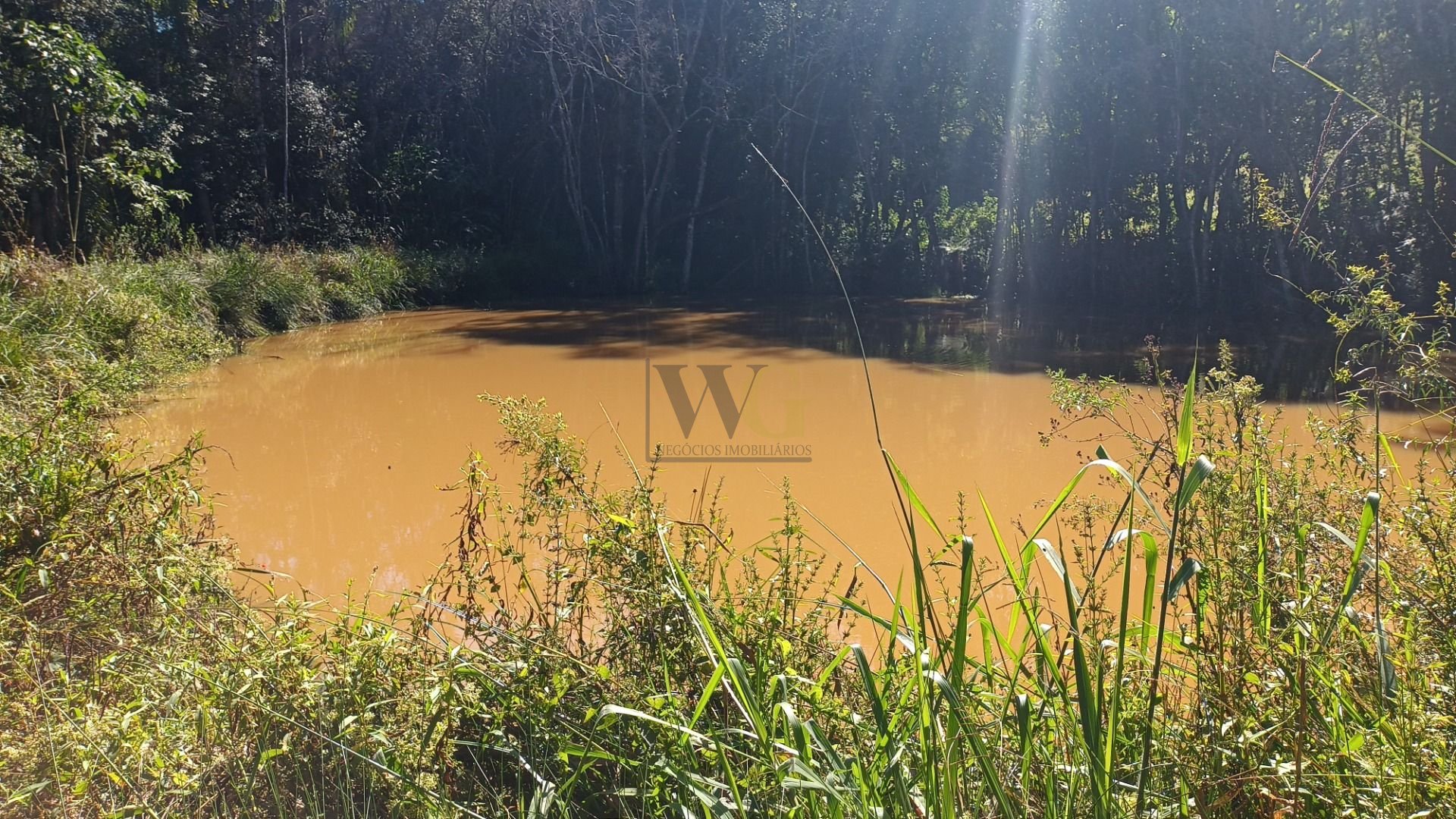 Chácara dos Sonhos em Araucária  24.300m  de Natureza e Tranqu...
