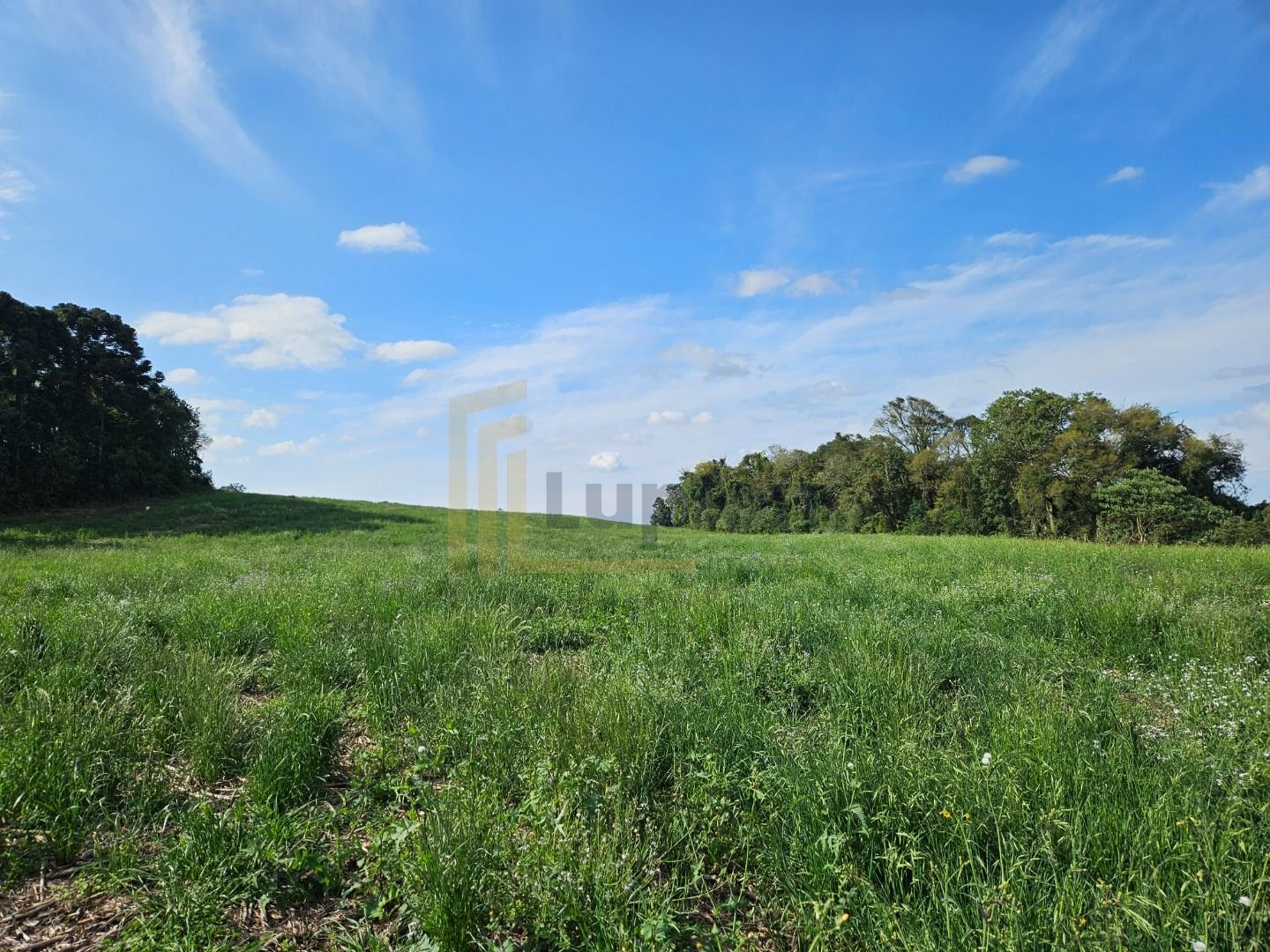 Chácara em Araucária  Refúgio de Lazer ou Moradia Próxima à Ci...