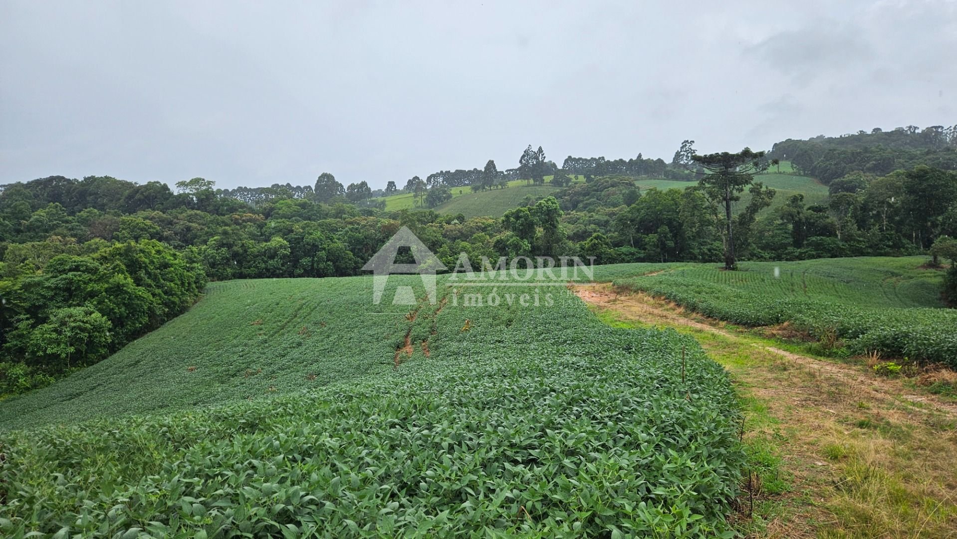 Chácara à venda, 79000 m  por R  1.230.000  - Preço abaixo do ...