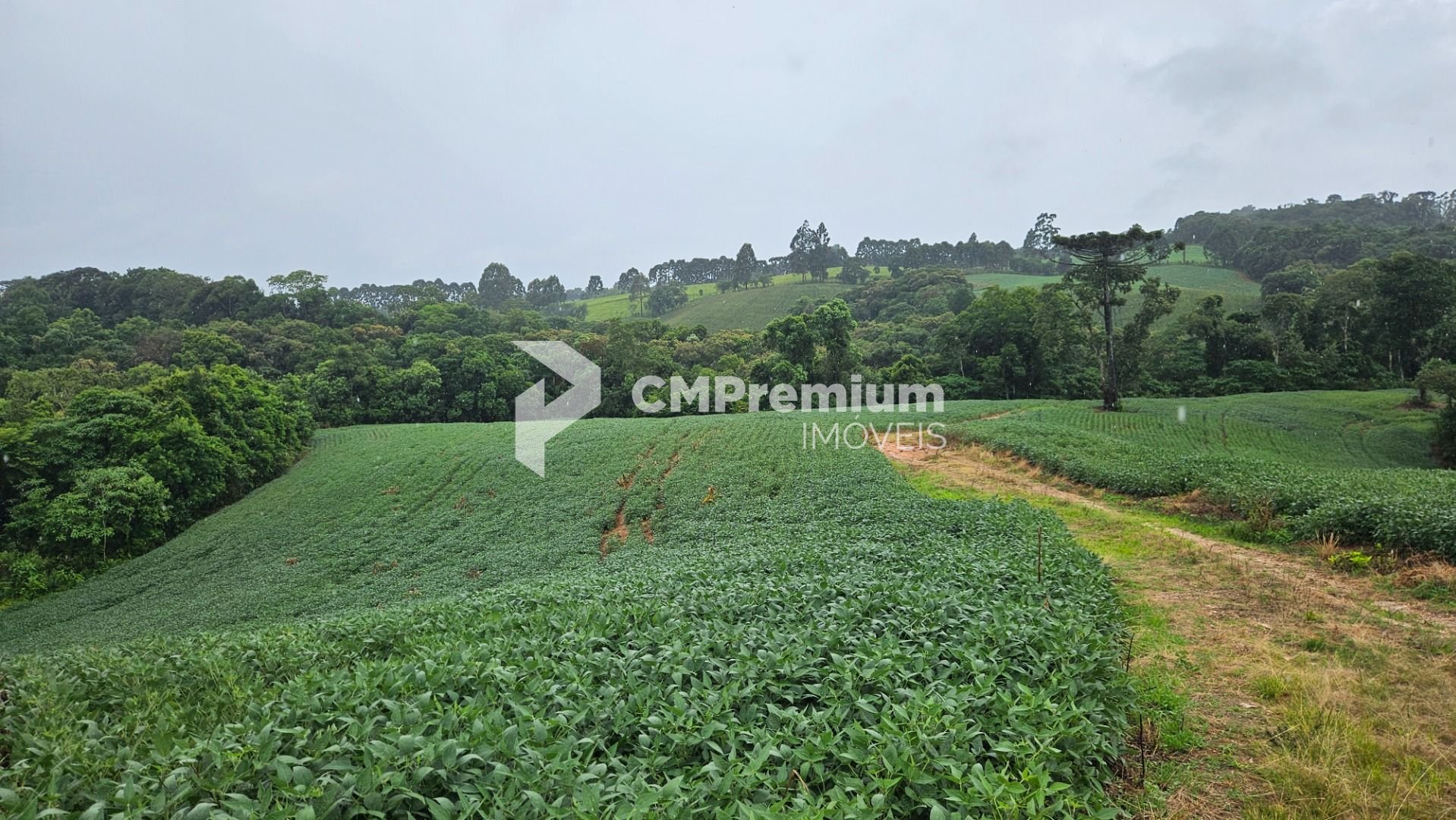 Chácara à venda, 79000 m  por R  1.230.000  - Preço abaixo do ...