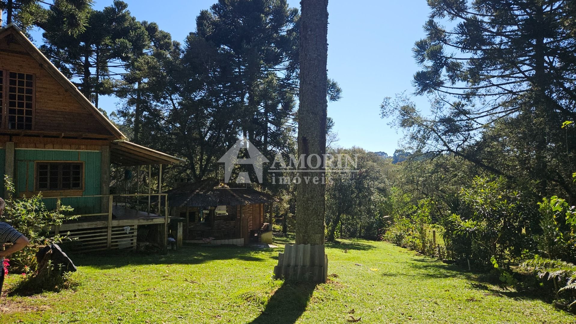 Chácara com 4 dormitórios à venda, 3400 m  por R  394.000 -Col...